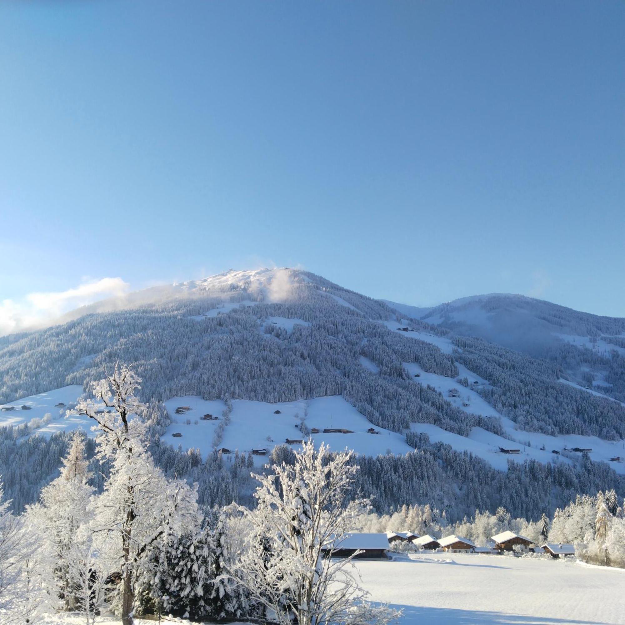 Alpbachblick Διαμέρισμα Εξωτερικό φωτογραφία