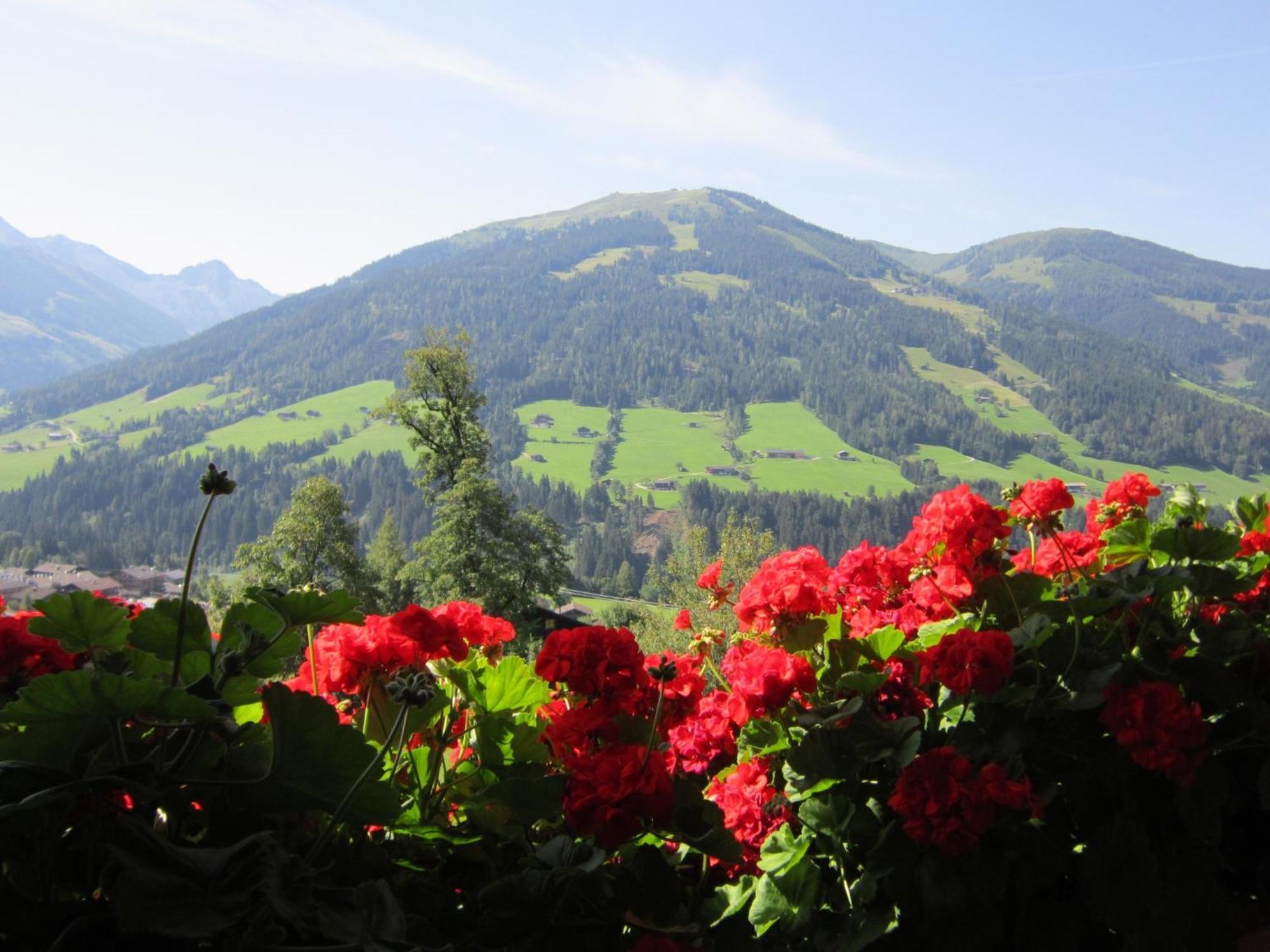 Alpbachblick Διαμέρισμα Εξωτερικό φωτογραφία